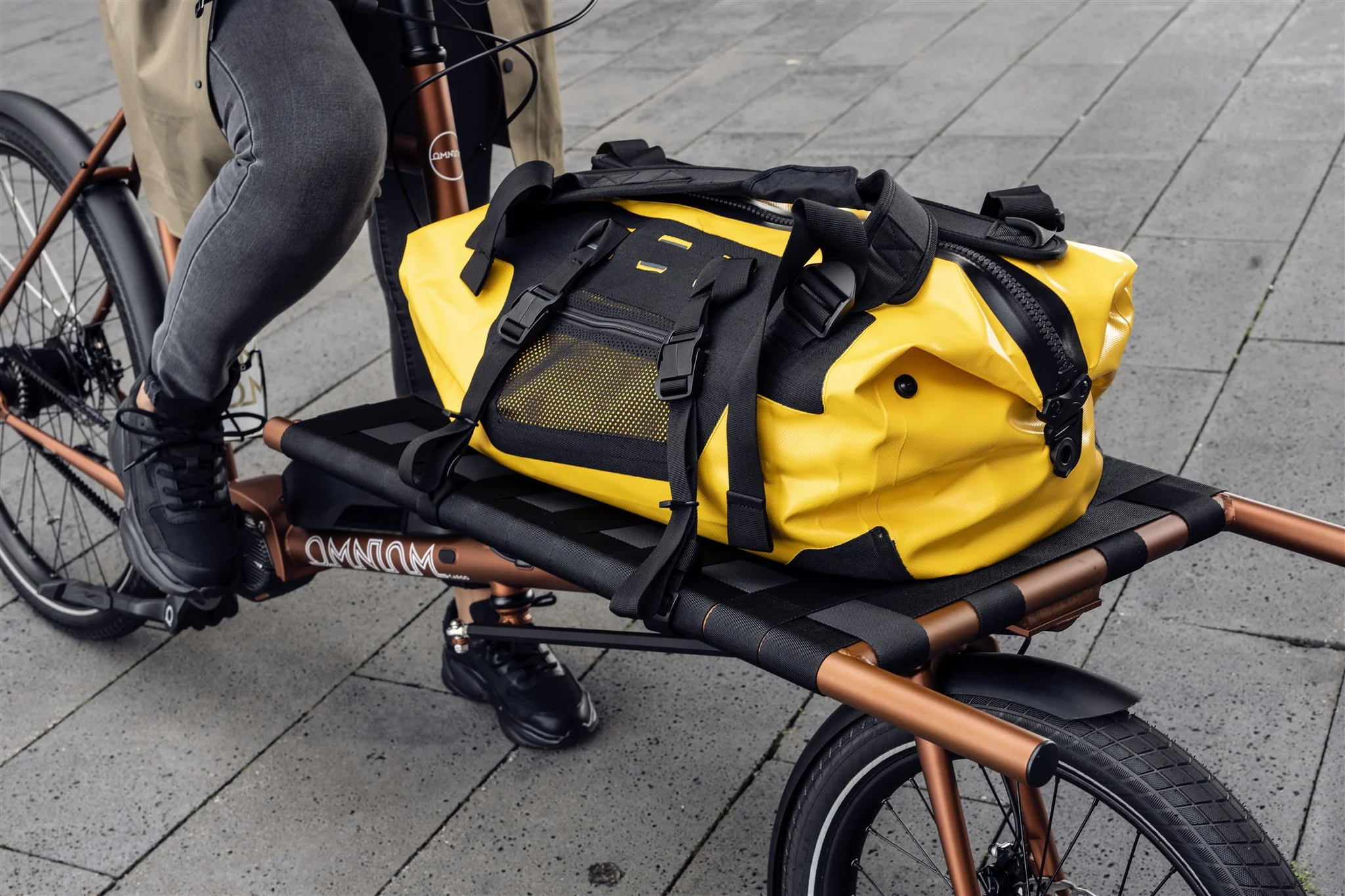 Cargo Straps - Image 5