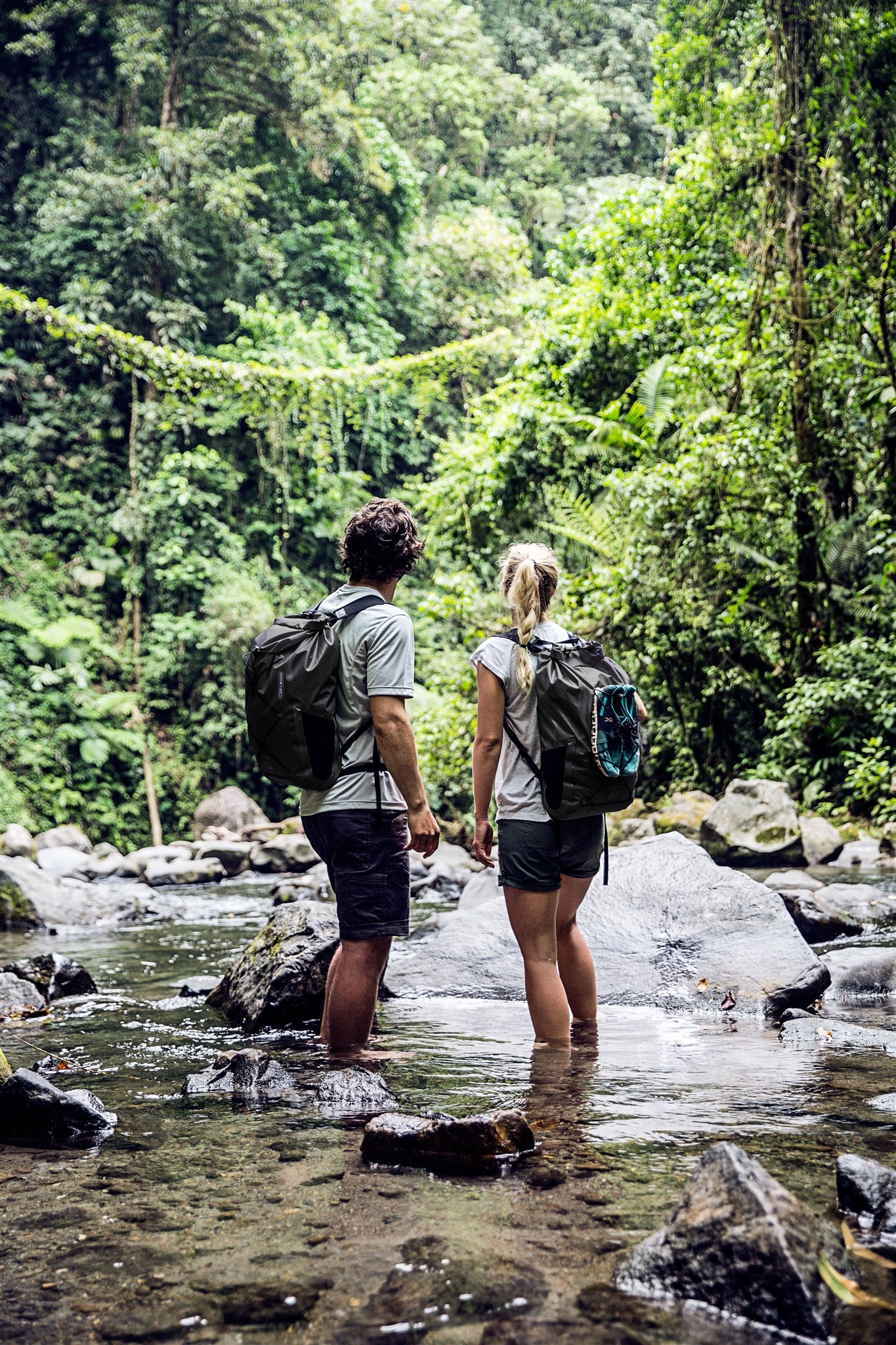 Light-Pack - Image 7