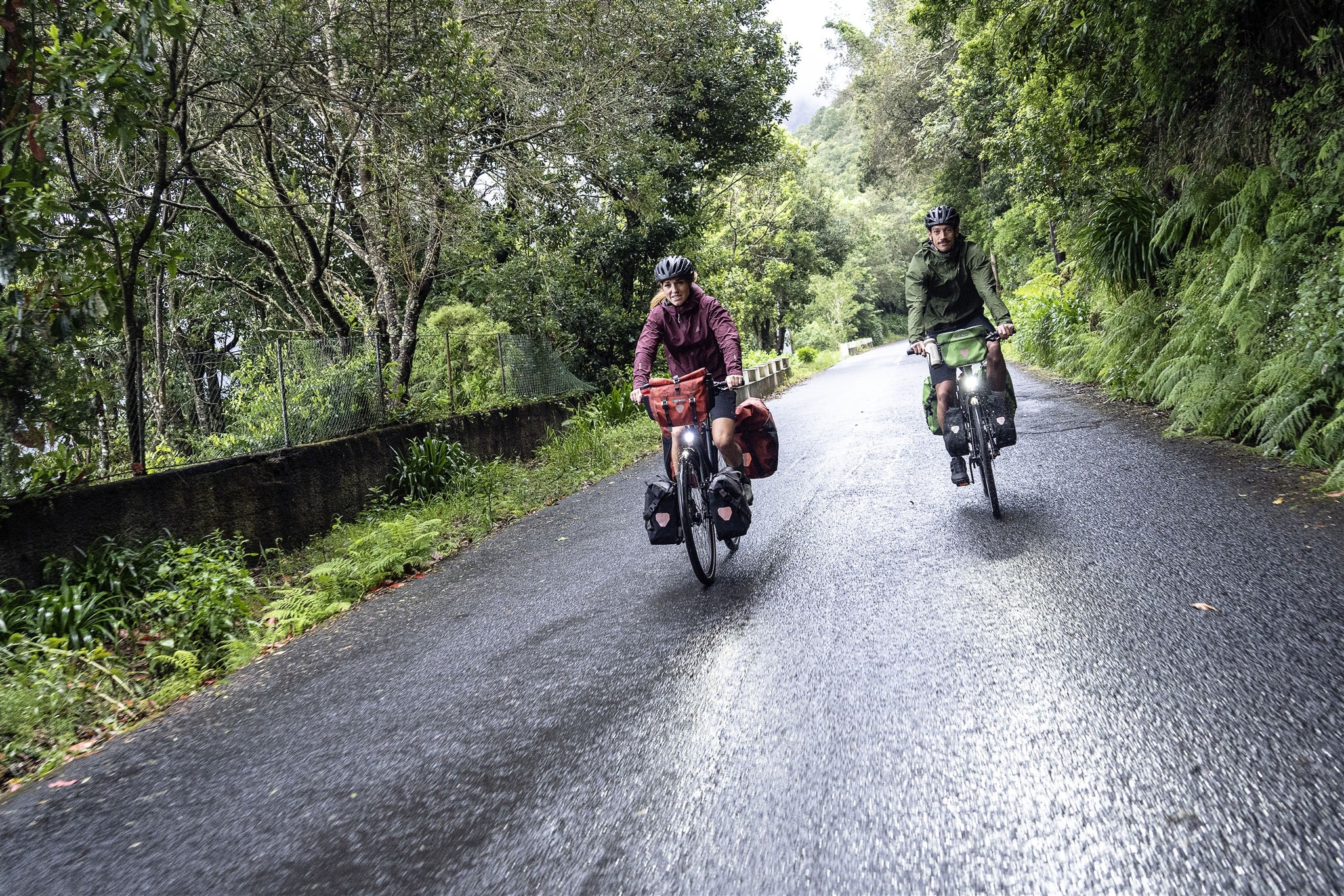 Ultimate Plus - Image 41